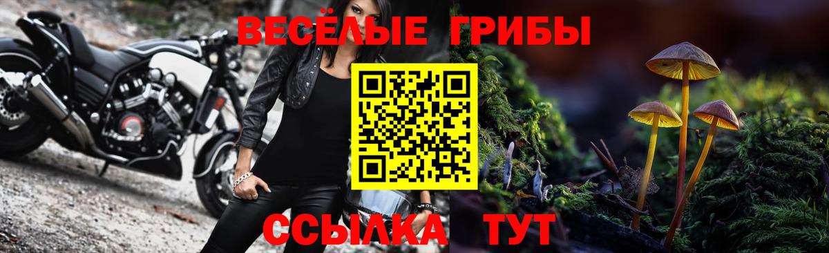 Псилоцибиновые грибы MAGIC MUSHROOMS  Галлюциногенные грибы Cubensis  Коммунар  Вход с VPN 